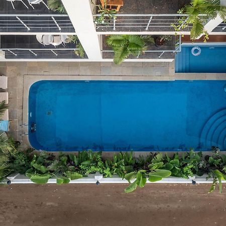 ホテル Echor Samara Morjim Goa Sea View Restro エクステリア 写真